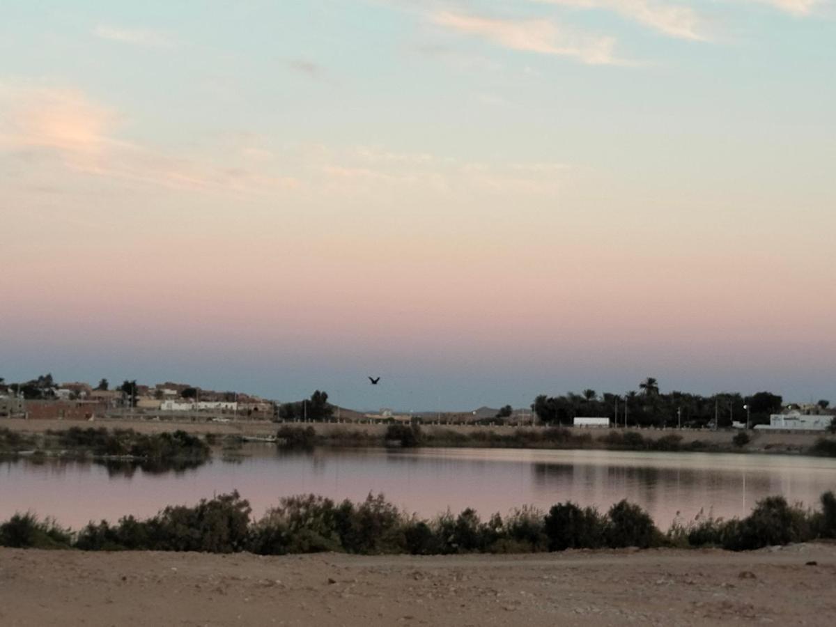 Safari Abu Simbel Ξενοδοχείο Εξωτερικό φωτογραφία